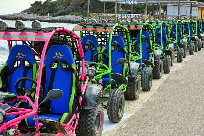 (Official) Korcula Buggy: Our History, Food & Wine (Ana & Branko) - Through olive groves and old vines