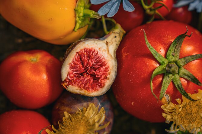 Olive farm & village - Key points about Vardia Farm