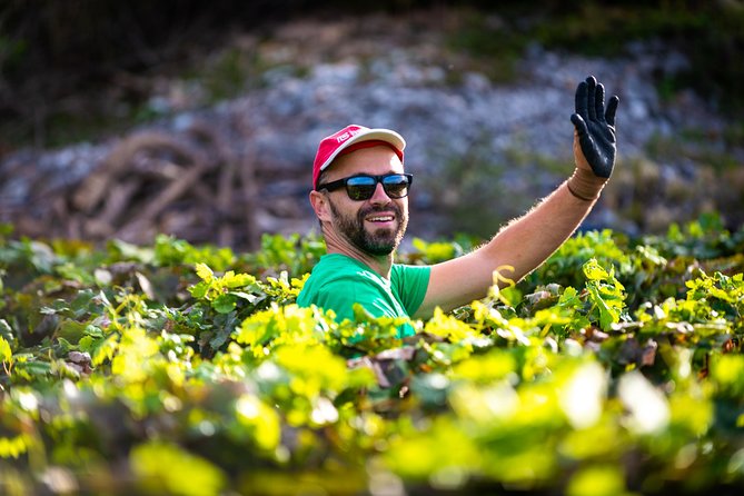 Olive farm & village - Who will enjoy this farm visit most?