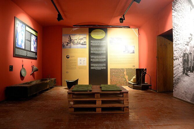 Olive Oil Guided Tasting and History in Pula - Roman presses, short films, and modern production