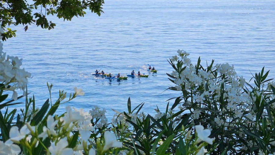 Opatija: Cliffs and caves kayak adventure - What the $82 price gets you