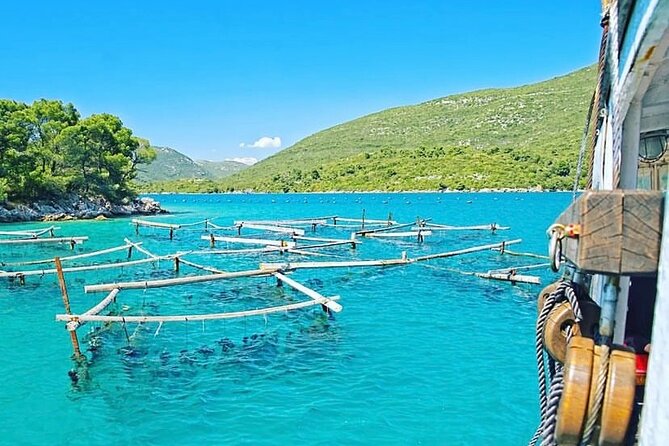 Oyster farm experience / Private day trip from Dubrovnik - Key points to know before you book