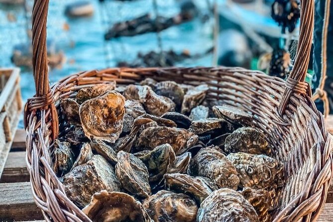 Oyster farm experience / Private day trip from Dubrovnik - Is $258.30 per person good value?