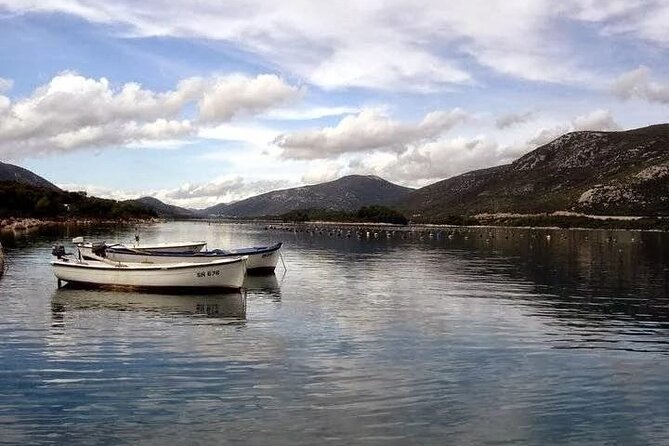 Oysters and mussels tasting with wine in Ston and Pelješac - Key points at a glance