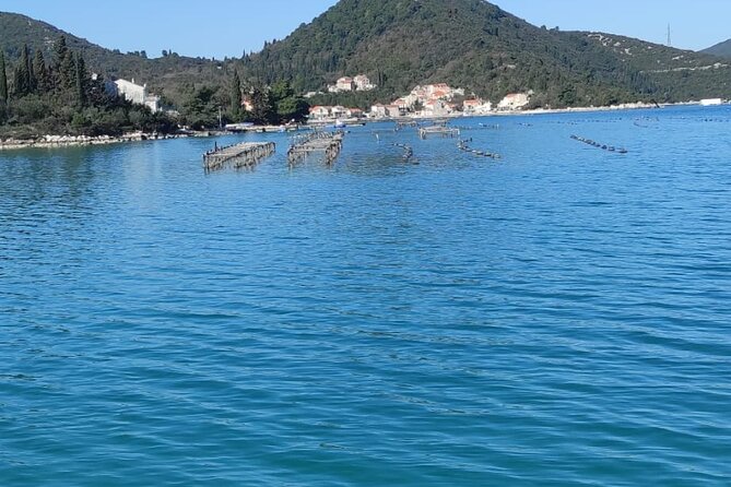 Oysters and mussels tasting with wine in Ston and Pelješac - Why this Dubrovnik day trip feels different