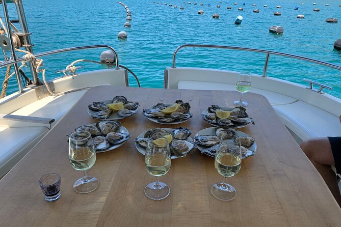 Oysters and mussels tasting with wine in Ston and Pelješac - Meeting the shellfish family in Hodilje