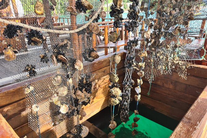 Oysters & Wine Tour From Dubrovnik (Small Group) - Key points at a glance