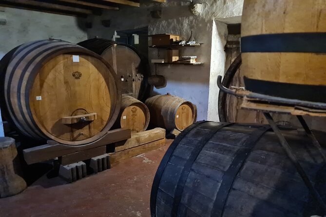 Oysters & Wine Tour From Dubrovnik (Small Group) - Pelješac wine at a family-run cellar