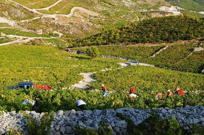 Oysters & Wine Tour From Dubrovnik (Small Group) - Taking the boat to Mali Ston Bay