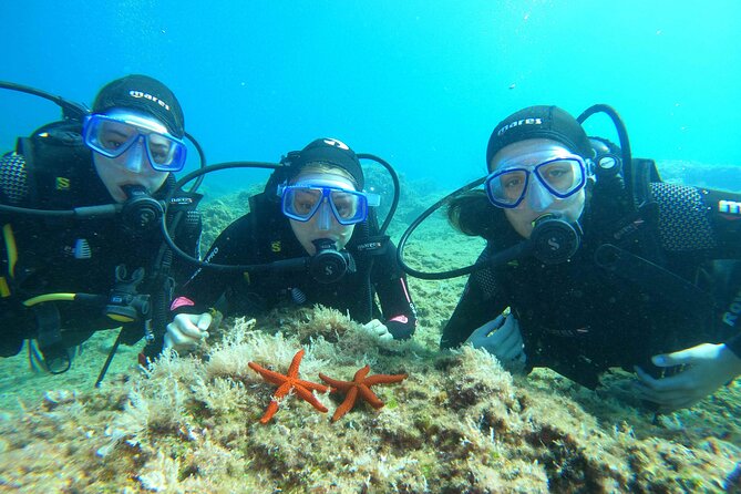 PADI Discover Scuba Diving in Dubrovnik - Learning the basics before entering the sea
