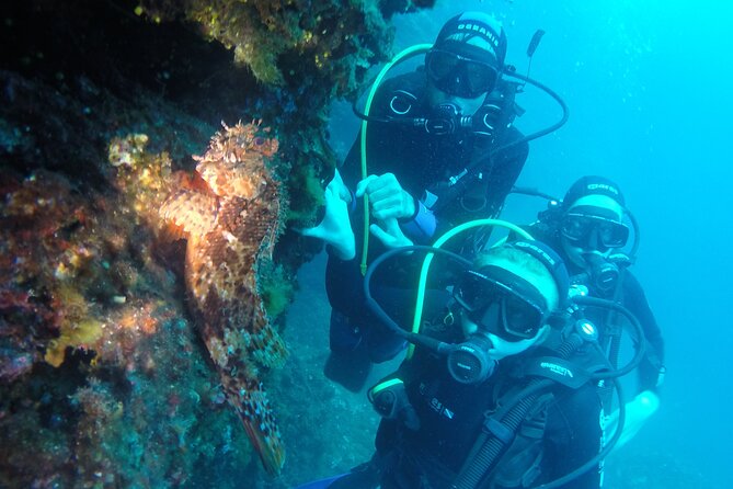 PADI Discover Scuba Diving in Dubrovnik - What the Adriatic setting can and cannot promise