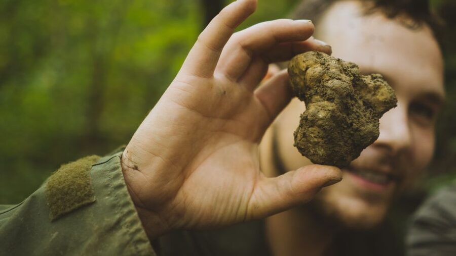 Paladini: Truffle Hunting Tour with 3-Course Tasting Menu - Entering the old forest where Istrian truffle hunting began