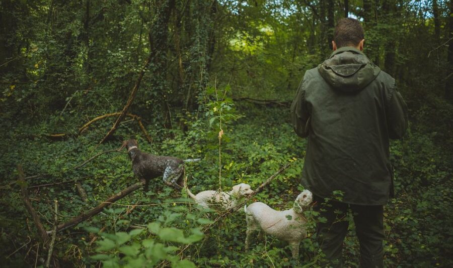 Paladini: Truffle Hunting Tour with 3-Course Tasting Menu - What the $127 price really covers