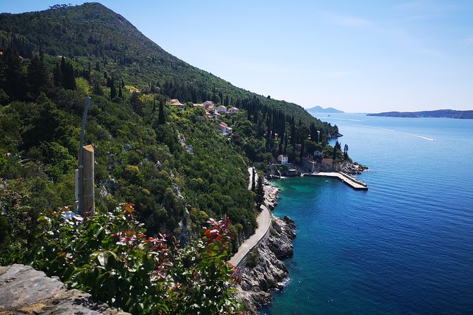 Panorama Dubrovnik & Arboretum Trsteno PRIVATE TOUR - Should you book the Dubrovnik panorama and arboretum tour?
