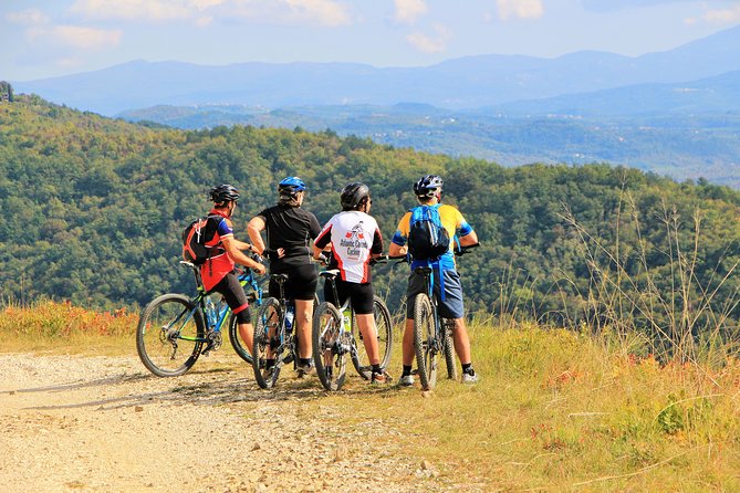 Parenzana Trail Full Day Cycling Tour from Pula, Rovinj, Poreč or Buje - Motovun brings the payoff