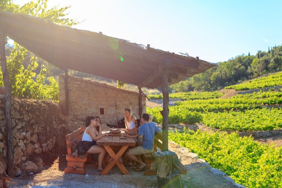 Pelješac Full-Day Wine and Food Tour from Dubrovnik - Why Pelješac makes a better wine day than a city tasting room