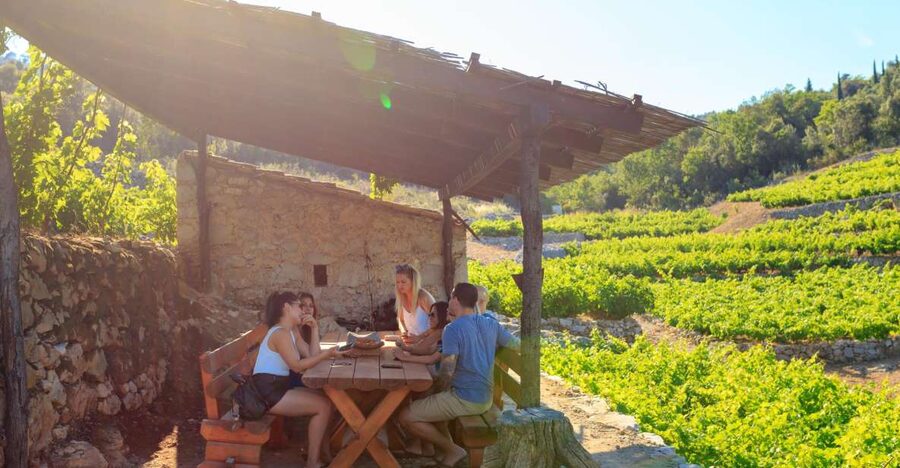 Pelješac Full-Day Wine and Food Tour from Dubrovnik - The drive from Dubrovnik to Ston