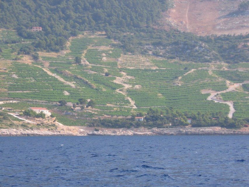 Peljesac Peninsula & Korcula Island Day-Trip from Dubrovnik - Korčula Old Town in roughly three hours