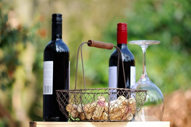 Peljesac Peninsula Wine Tasting Luxury Tour from Dubrovnik - What the private Mercedes ride adds