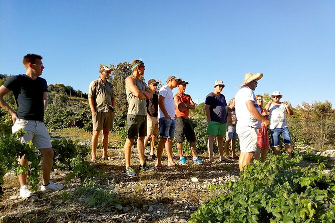 Peljesac&Ston Small-Group Food & Wine Experience from Dubrovnik - Is $264.32 a fair price?