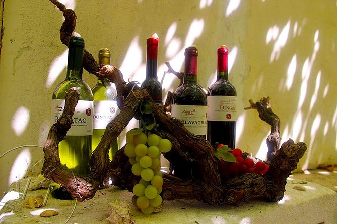Peljesac Vineyards & Oysters - Private Day Trip from Dubrovnik-Mercedes Vehicle - Milos Winery and the first taste of Peljesac wine