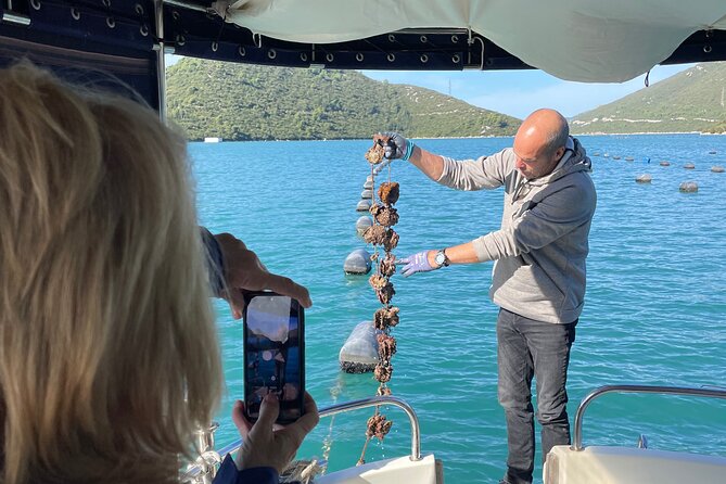 Pelješac - Wine, Oysters and Food Experience from Dubrovnik - Key points to know before booking