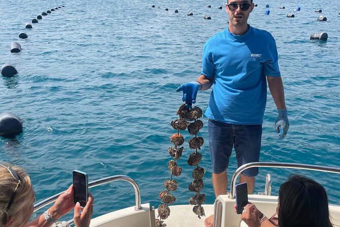 Pelješac - Wine, Oysters and Food Experience from Dubrovnik - Ana’s role and the private group setting
