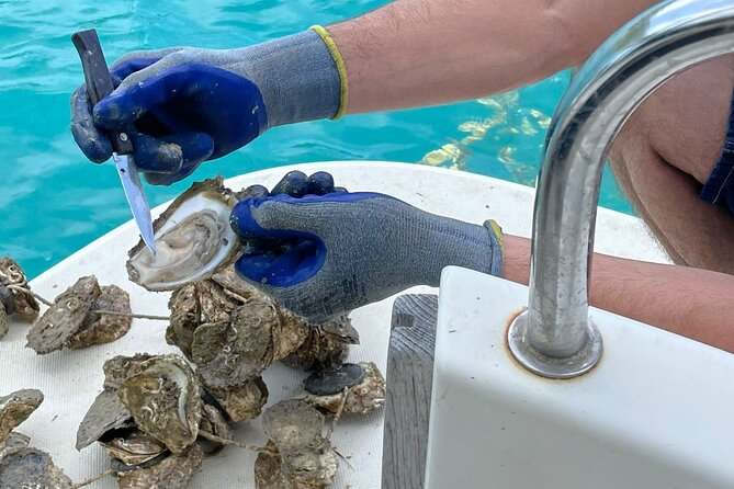 Peljesac Wine & Ston Oysters PRIVATE HALF DAY SHORE TOUR - What the $332.34 price buys you