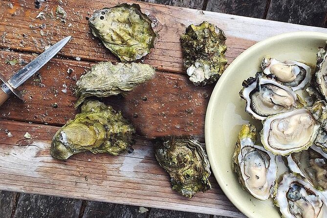 Peljesac Wine & Ston Oysters PRIVATE HALF DAY SHORE TOUR - Ponikve and the taste of Plavac Mali