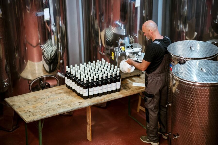 Pelješac wine tasting and local winery visit - The food is a real part of the experience