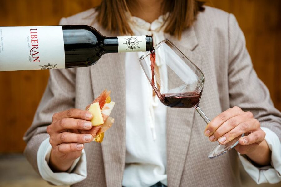 Pelješac wine tasting and local winery visit - What the 90-minute schedule feels like