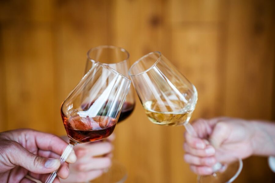 Pelješac wine tasting and local winery visit - Is $43 a fair price?