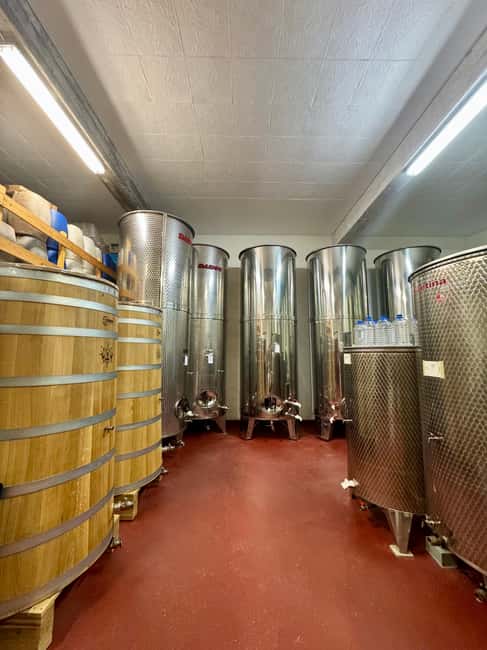 Pelješac wine tasting and local winery visit - Who will enjoy this wine stop most?