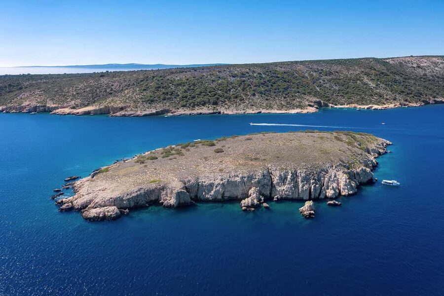 Plavnik Island: A public half day boat tour - Watching Plavnik’s griffon vultures