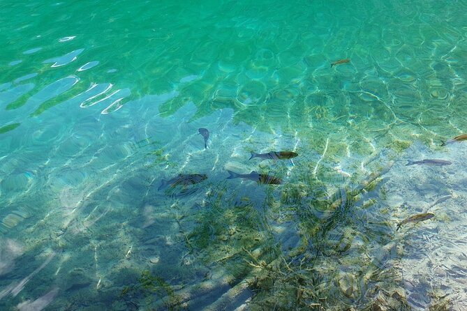 Plitvice Lakes Day Tour from Zadar, Simple and Safe - Morning departure from Zadar