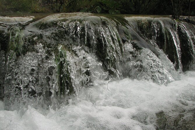 Plitvice Lakes Guided Tour - Electric boat rides and the panoramic train