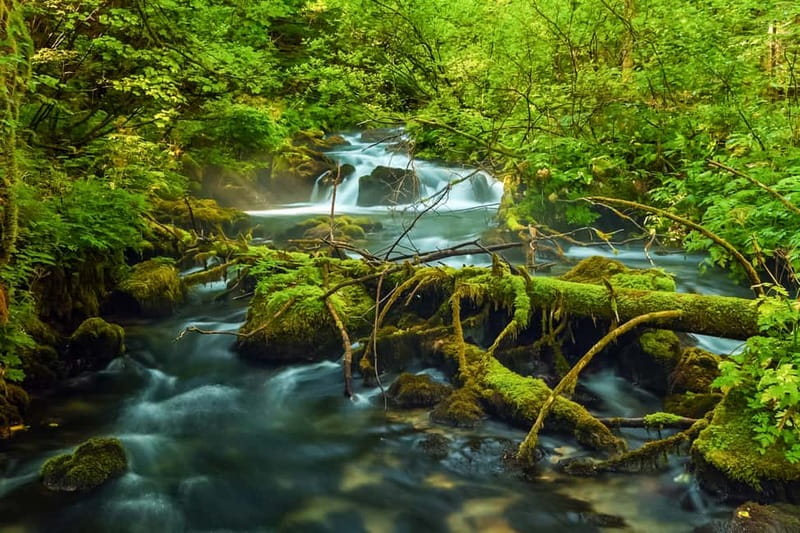Plitvice Lakes: Guided Walking Tour with Train and Boat Ride - Key points to know before you go