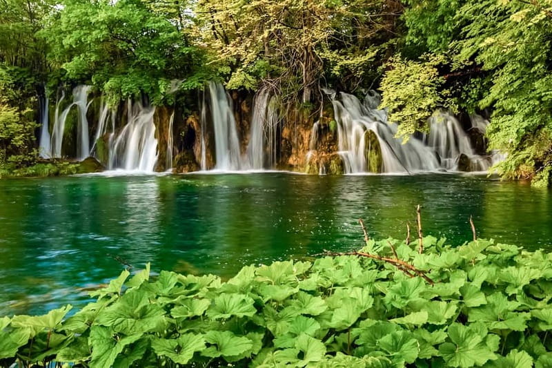 Plitvice Lakes: Guided Walking Tour with Train and Boat Ride - What the guide adds to a self-guided visit