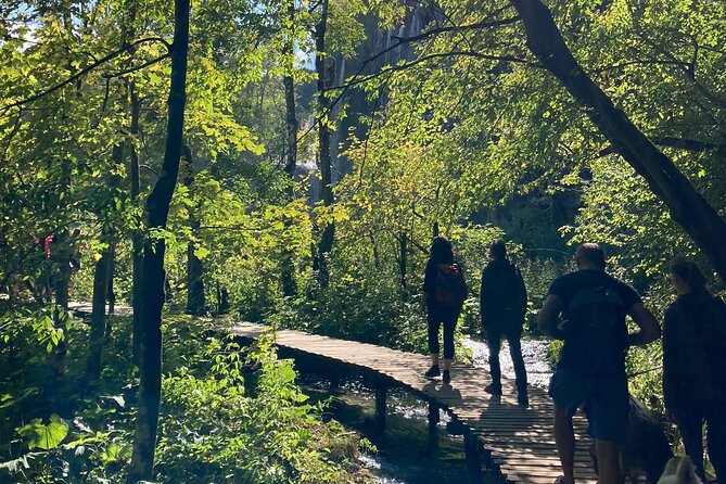 Plitvice Lakes National Park Guided Day Tour from Split - Group size, guide style, and the return journey