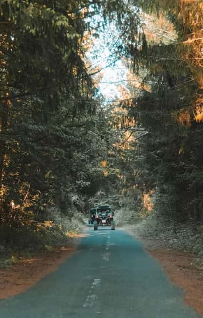 Plitvice Lakes National Park - Inspiration Buggy Tour - How much driving and adrenaline should you expect?