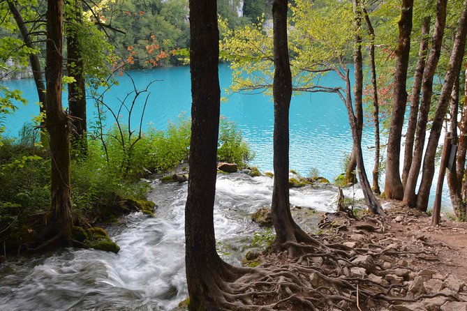 Plitvice Lakes National Park Tour from Zadar - Walking the Lower Lakes and waterfalls
