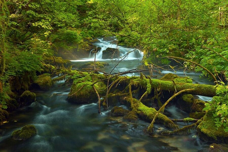 Plitvice Lakes Private Guided Tour - Seeing both the Lower and Upper Lakes