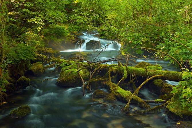 Plitvice Lakes Private Guided Walking Tour - The Lower Lakes and the Great Waterfall