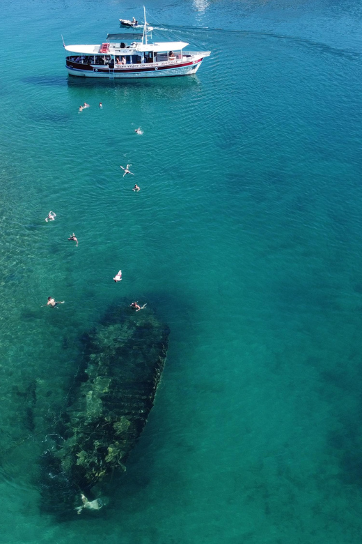Podstrana: Full-Day Boat Trip to Brač and Shipwreck Kontesa - Key points at a glance