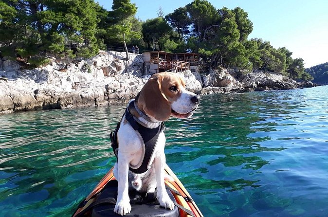 'Pomalo' Guided Sea Kayaking Tour in Cavtat - Crossing to Supetar Island