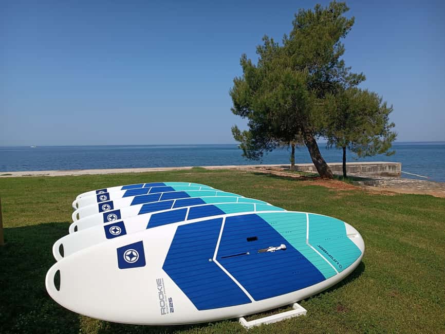 Poreč: 2-hour windsurfing lesson - Moving from the beach to the board