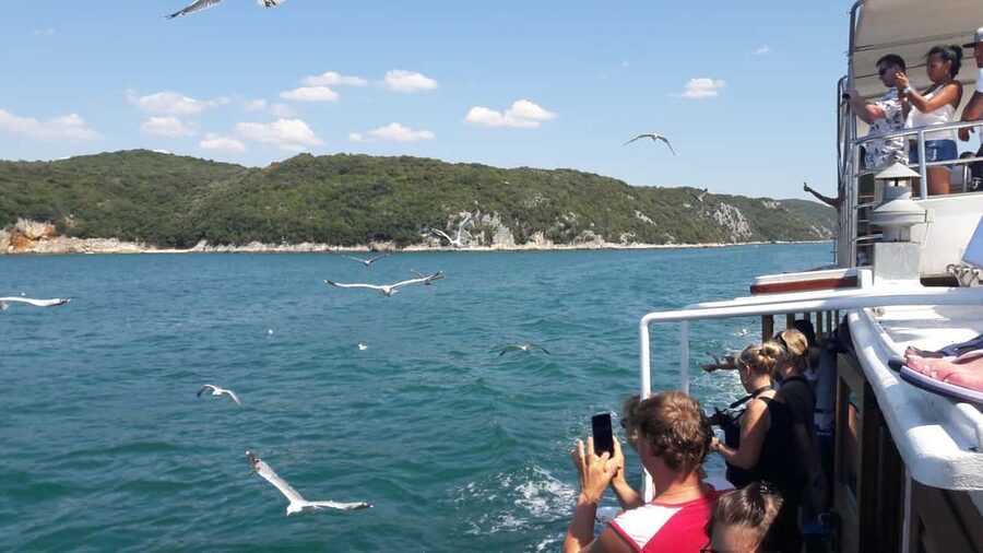 Poreč: Boat tour to Rovinj with lunch and drinks - Sailing from Poreč aboard Ship Manon