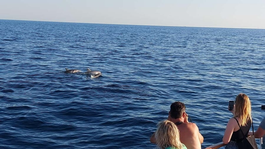 Poreč: Sunset Dolphin Safari with Dinner and Drinks - Leaving Port Poreč on Ship Manon