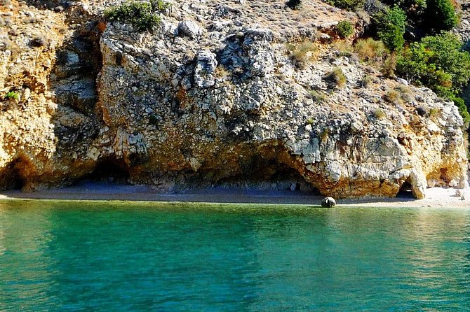 Private 7,5h Plavnik Island & Wild Bays Full-day Boat Trip - Swimming and snorkeling in wild bays