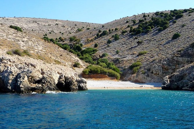 Private 7,5h Plavnik Island & Wild Bays Full-day Boat Trip - Plavnik Island and its griffon vultures